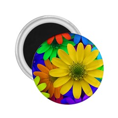 Gerbera Daisies 2 25  Button Magnet