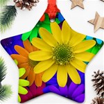 Gerbera Daisies Star Ornament Front