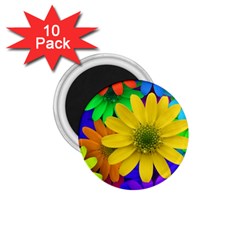 Gerbera Daisies 1 75  Button Magnet (10 Pack)