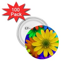 Gerbera Daisies 1 75  Button (100 Pack)