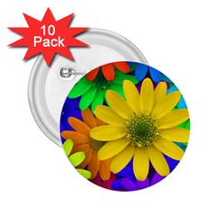 Gerbera Daisies 2 25  Button (10 Pack)