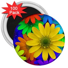 Gerbera Daisies 3  Button Magnet (100 Pack)