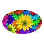 Gerbera Daisies Magnet (Oval) Front