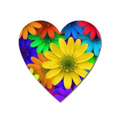 Gerbera Daisies Magnet (heart)