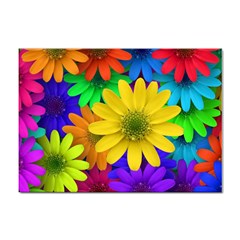 Gerbera Daisies A4 Sticker 100 Pack