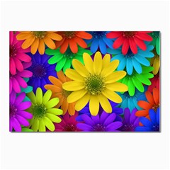 Gerbera Daisies Postcard 4 x 6  (10 Pack) by StuffOrSomething