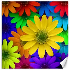 Gerbera Daisies Canvas 16  X 16  (unframed)