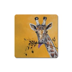 Giraffe Treat Magnet (square) by rokinronda