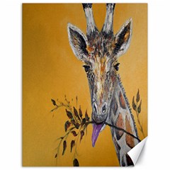 Giraffe Treat Canvas 18  X 24  (unframed)