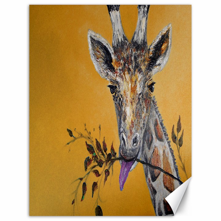 Giraffe Treat Canvas 18  x 24  (Unframed)