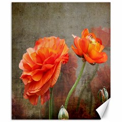 Orange Rose From Bud To Bloom Canvas 8  X 10  (unframed) by NaturesSol