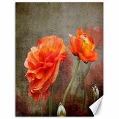 Orange Rose From Bud To Bloom Canvas 18  X 24  (unframed) by NaturesSol