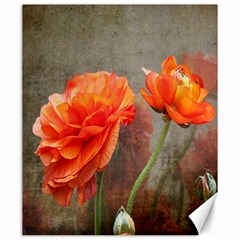 Orange Rose From Bud To Bloom Canvas 20  X 24  (unframed) by NaturesSol