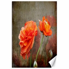 Orange Rose From Bud To Bloom Canvas 20  X 30  (unframed) by NaturesSol