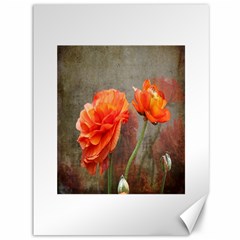 Orange Rose From Bud To Bloom Canvas 36  X 48  (unframed) by NaturesSol