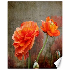 Orange Rose From Bud To Bloom Canvas 11  X 14  (unframed) by NaturesSol