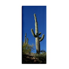 Saguaro Hand Towel Hand Towel