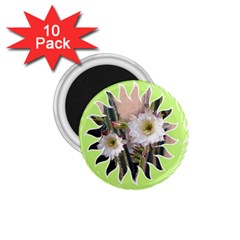 20131123 3 1 75  Button Magnet (10 Pack)