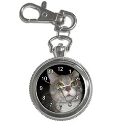 P9190174 Key Chain Watch