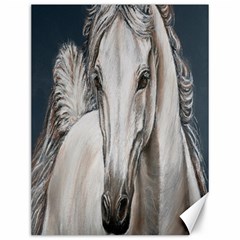 Breeze Canvas 12  X 16  (unframed) by TonyaButcher