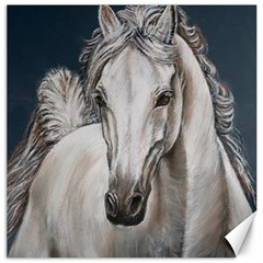 Breeze Canvas 16  X 16  (unframed)