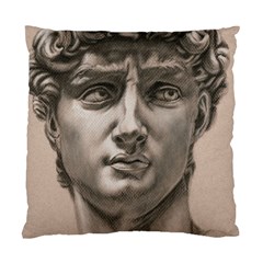 David Cushion Case (single Sided) 