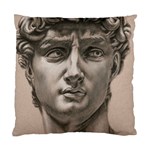 David Cushion Case (Single Sided)  Front