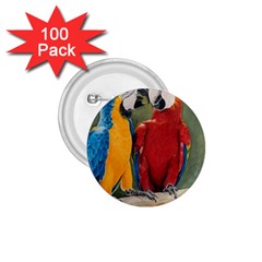 Feathered Friends 1 75  Button (100 Pack) by TonyaButcher