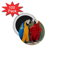 Feathered Friends 1 75  Button Magnet (100 Pack) by TonyaButcher