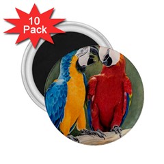 Feathered Friends 2 25  Button Magnet (10 Pack) by TonyaButcher