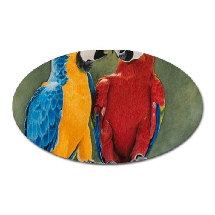 Feathered Friends Magnet (Oval)