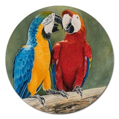 Feathered Friends Magnet 5  (round) by TonyaButcher