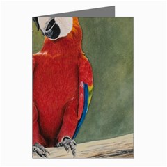 Feathered Friends Greeting Card (8 Pack) by TonyaButcher