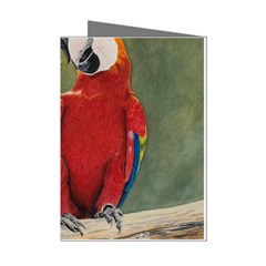 Feathered Friends Mini Greeting Card (8 Pack) by TonyaButcher