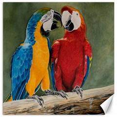 Feathered Friends Canvas 12  X 12  (unframed)