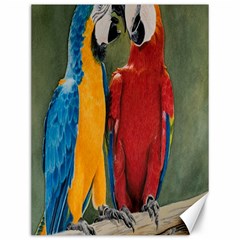 Feathered Friends Canvas 12  X 16  (unframed)