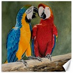 Feathered Friends Canvas 20  x 20  (Unframed) 19 x19.27  Canvas - 1