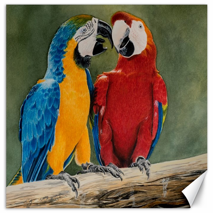 Feathered Friends Canvas 20  x 20  (Unframed)