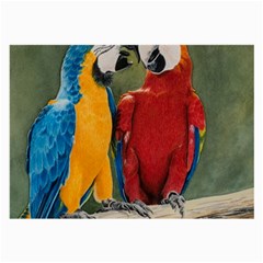 Feathered Friends Glasses Cloth (large, Two Sided)