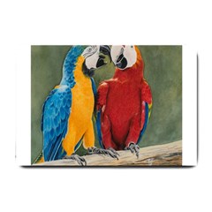 Feathered Friends Small Door Mat by TonyaButcher