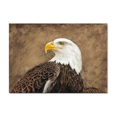 Eagle A4 Sticker 10 Pack by TonyaButcher