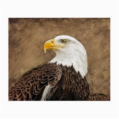 Eagle Glasses Cloth (small) by TonyaButcher