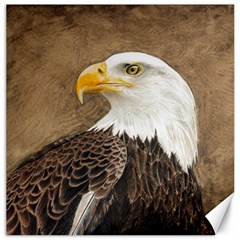 Eagle Canvas 12  X 12  (unframed) by TonyaButcher