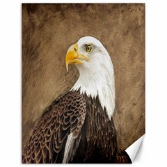 Eagle Canvas 12  X 16  (unframed) by TonyaButcher