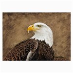 Eagle Glasses Cloth (Large) Front