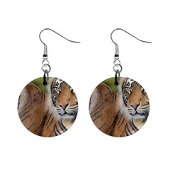 Soft Protection Mini Button Earrings