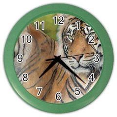 Soft Protection Wall Clock (Color)