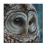 Barred Owl Ceramic Tile Front