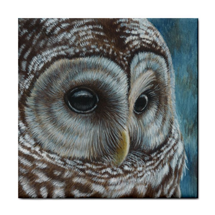 Barred Owl Ceramic Tile