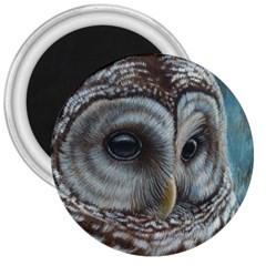 Barred Owl 3  Button Magnet by TonyaButcher